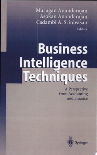 Business Intelligence Techniques A Perspective from Accounting and Finance