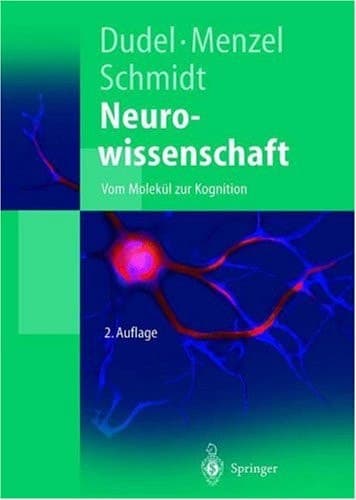 Neurowissenschaft vom Molekül zur Kognition