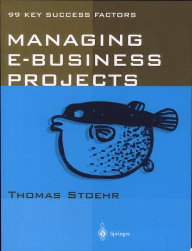 Managing e-business Projects 99 Key Success Factors