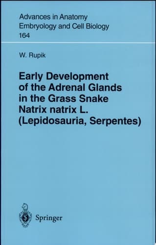 Early Development of the Adrenal Glands in the Grass Snake Natrix natrix L. (Lepidosauria, Serpentes) With 1 Table