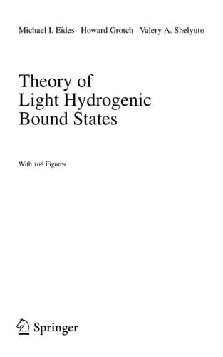 Theory of Light Hydrogenic Bound States