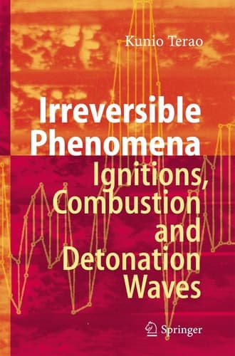 Irreversible Phenomena Ignitions, Combustion and Detonation Waves