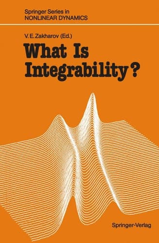 What Is Integrability? (Springer Series in Nonlinear Dynamics)