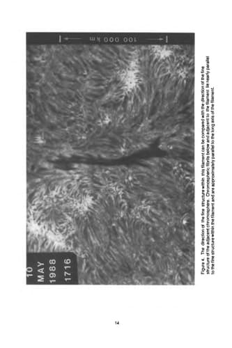 Dynamics of Quiescent Prominences: Proceedings of the No. 117 Colloquium of the International Astronomical Union, Hvar, SR Croatia, Yugoslavia 1989 (Lecture Notes in Physics)