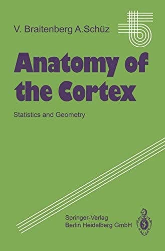Anatomy of the Cortex: Statistics and Geometry (Studies of Brain Function)