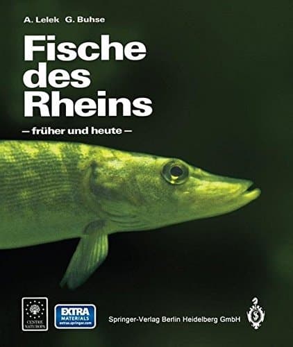 Fische des Rheins — früher und heute —
