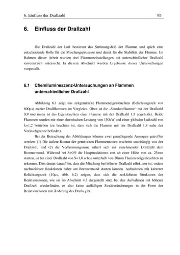 Technische Verbrennung physikalisch-chemische Grundlagen, Modellbildung, Schadstoffentstehung