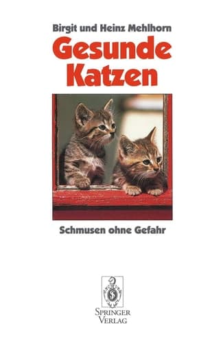 Gesunde Katzen Schmusen ohne Gefahr