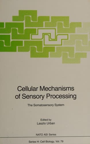 Cellular Mechanisms of Sensory Processing: The Somatosensory System (Nato ASI Subseries H:)