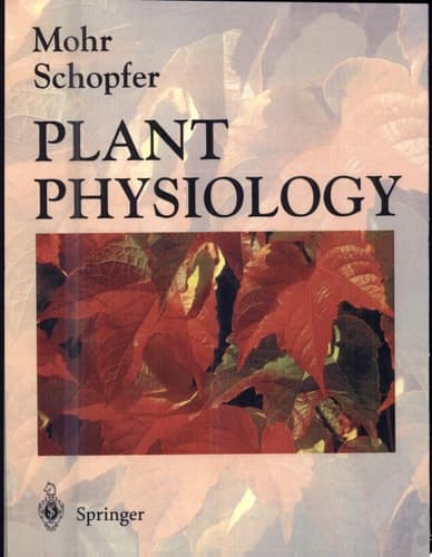 Plant Physiology