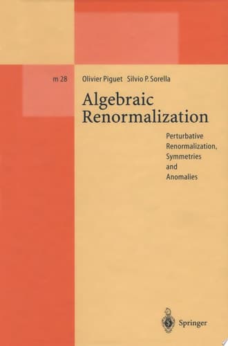 Algebraic Renormalization Perturbative Renormalization, Symmetries and Anomalies