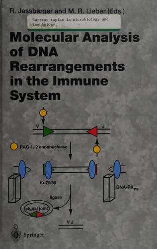 Molecular Analysis of DNA Rearrangements in the Immune System