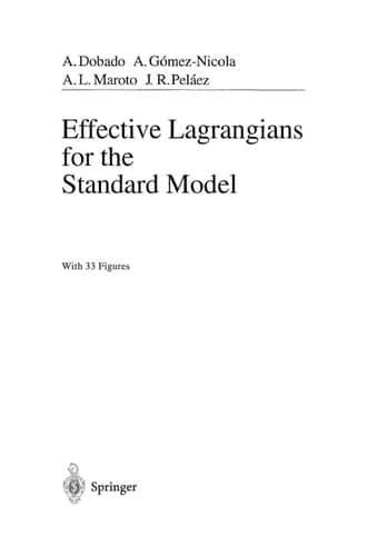 Effective Lagrangians for the Standard Model (Theoretical and Mathematical Physics)