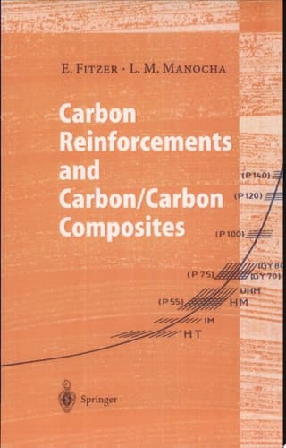 Carbon Reinforcements and Carbon/Carbon Composites