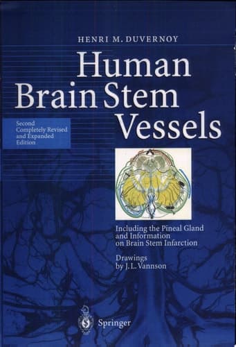 Human Brain Stem Vessels Including the Pineal Gland and Information on Brain Stem Infarction