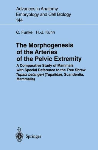 The Morphogenesis of the Arteries of the Pelvic Extremity A Comparative Study of Mammals with special Reference to the Tree Shrew Tupaia belangeri (Tupaiidae, Scandentia, Mammalia)