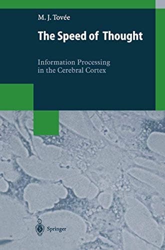 The Speed of Thought Information Processing in the Cerebral Cortex
