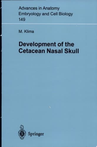 Development of the Cetacean Nasal Skull