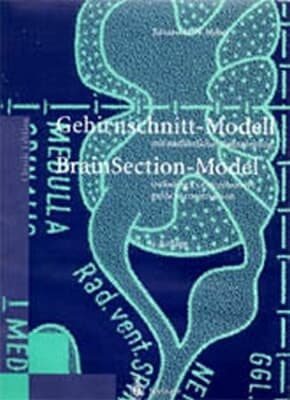 Gehirnschnitt-Modell / Brain Section Model Bauanleitung / Guide to Construction