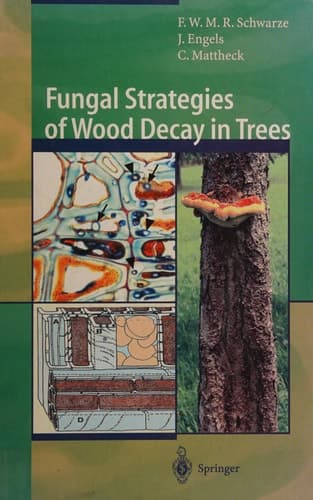 Fungal Strategies of Wood Decay in Trees