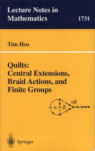 Quilts: Central Extensions, Braid Actions, and Finite Groups