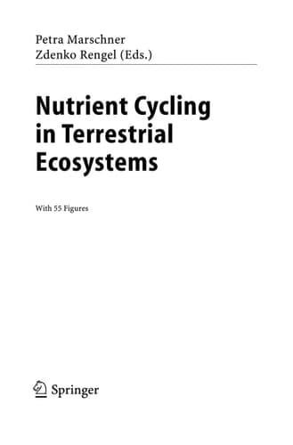 Nutrient Cycling in Terrestrial Ecosystems