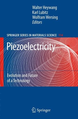 Piezoelectricity Evolution and Future of a Technology