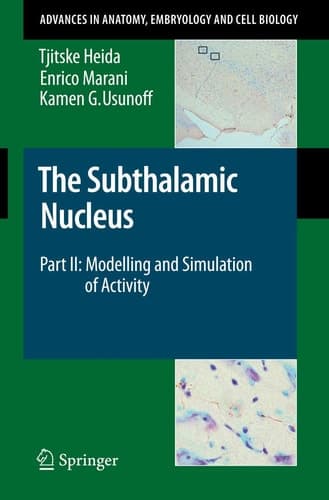 The Subthalamic Nucleus Part II: Modelling and Simulation of Activity