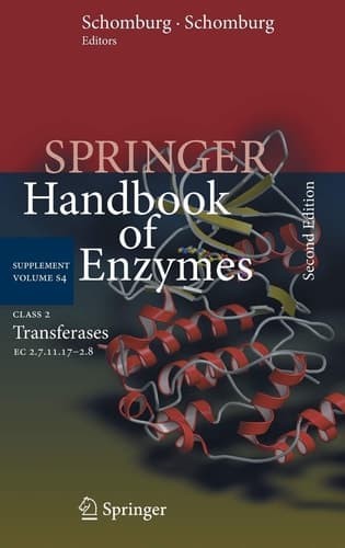 Class 2 Transferases EC 2.7.11.17-2.8