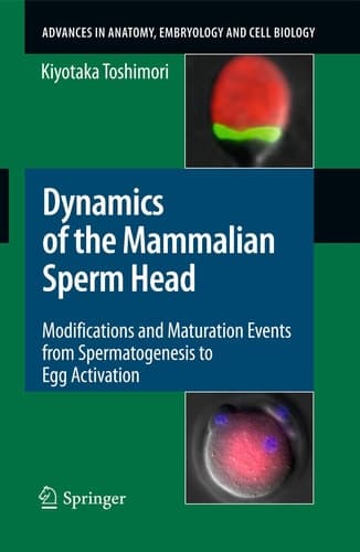 Dynamics of the Mammalian Sperm Head Modifications and Maturation Events From Spermatogenesis to Egg Activation