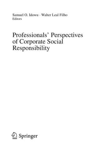 Professionals ́ Perspectives of Corporate Social Responsibility