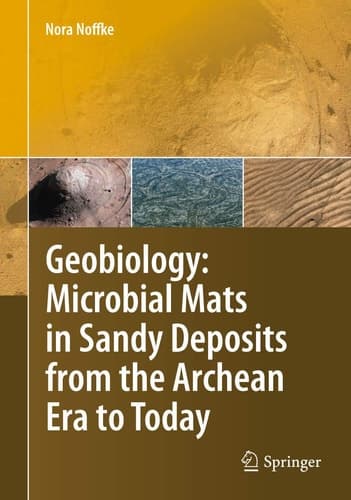 Geobiology Microbial Mats in Sandy Deposits from the Archean Era to Today