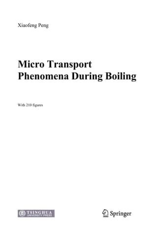 Micro Transport Phenomena During Boiling