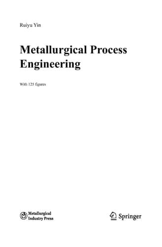 Metallurgical Process Engineering
