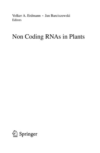 Non Coding RNAs in Plants