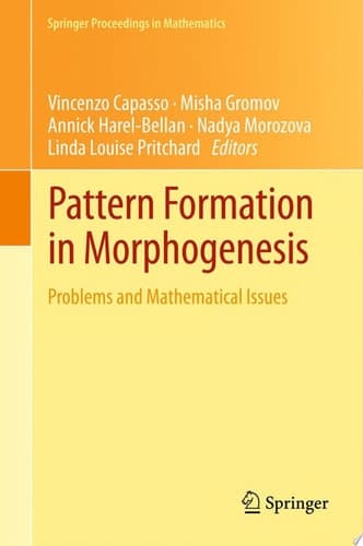 Pattern Formation in Morphogenesis Problems and Mathematical Issues