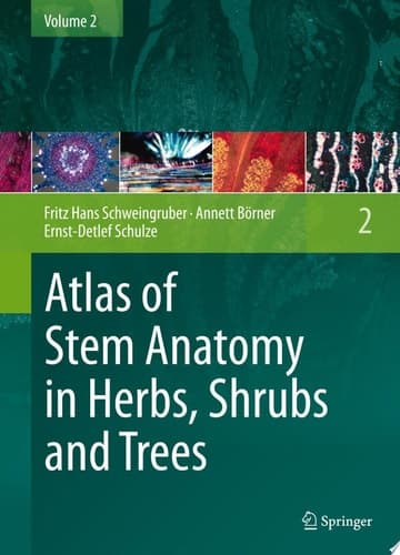 Atlas of Stem Anatomy in Herbs, Shrubs and Trees