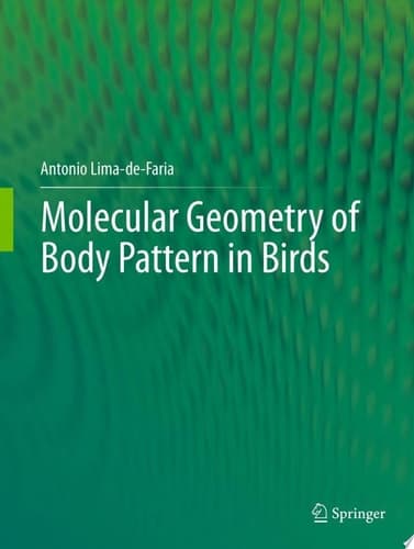 Molecular Geometry of Body Pattern in Birds