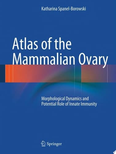 Atlas of the Mammalian Ovary Morphological Dynamics and Potential Role of Innate Immunity