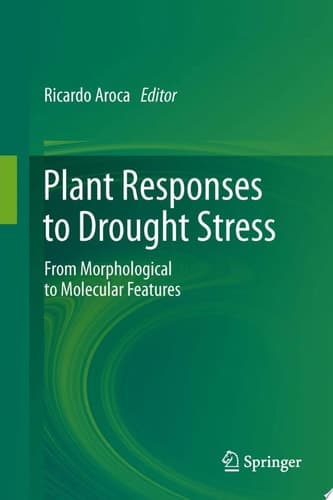 Plant Responses to Drought Stress From Morphological to Molecular Features