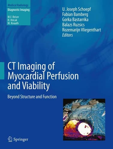 CT Imaging of Myocardial Perfusion and Viability Beyond Structure and Function