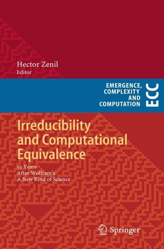 Irreducibility and Computational Equivalence 10 Years After Wolfram's A New Kind of Science