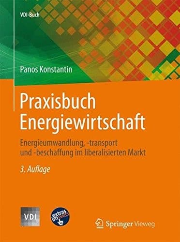 Praxisbuch Energiewirtschaft: Energieumwandlung, -transport und -beschaffung im liberalisierten Markt (VDI-Buch) (German Edition)