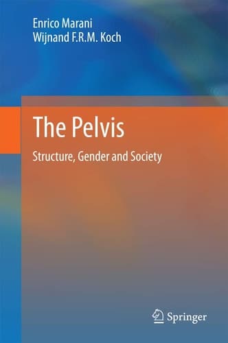 The Pelvis Structure, Gender and Society