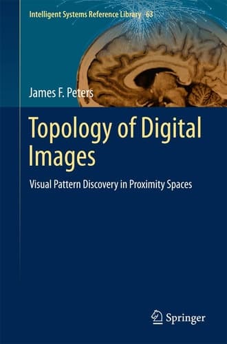 Topology of Digital Images Visual Pattern Discovery in Proximity Spaces