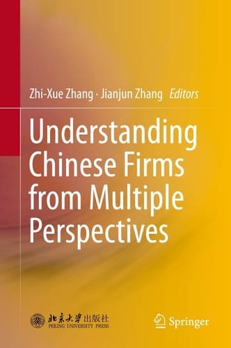 Understanding Chinese Firms from Multiple Perspectives