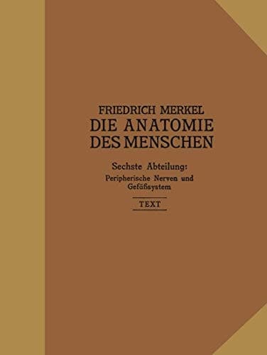 Peripherische Nerven, Gefäßsystem Inhalt der Körperhöhlen