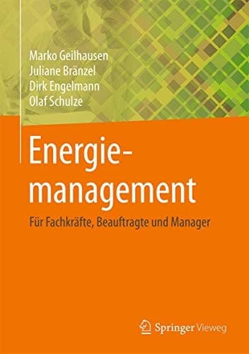 Energiemanagement Für Fachkräfte, Beauftragte und Manager