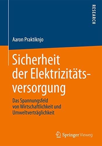 Sicherheit der Elektrizitätsversorgung Das Spannungsfeld von Wirtschaftlichkeit und Umweltverträglichkeit