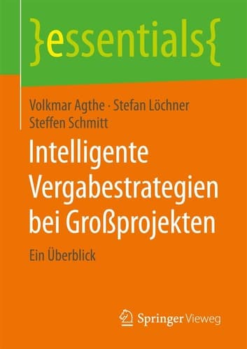 Intelligente Vergabestrategien bei Großprojekten Ein Überblick